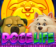 Doge Life